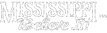 MS Believe It